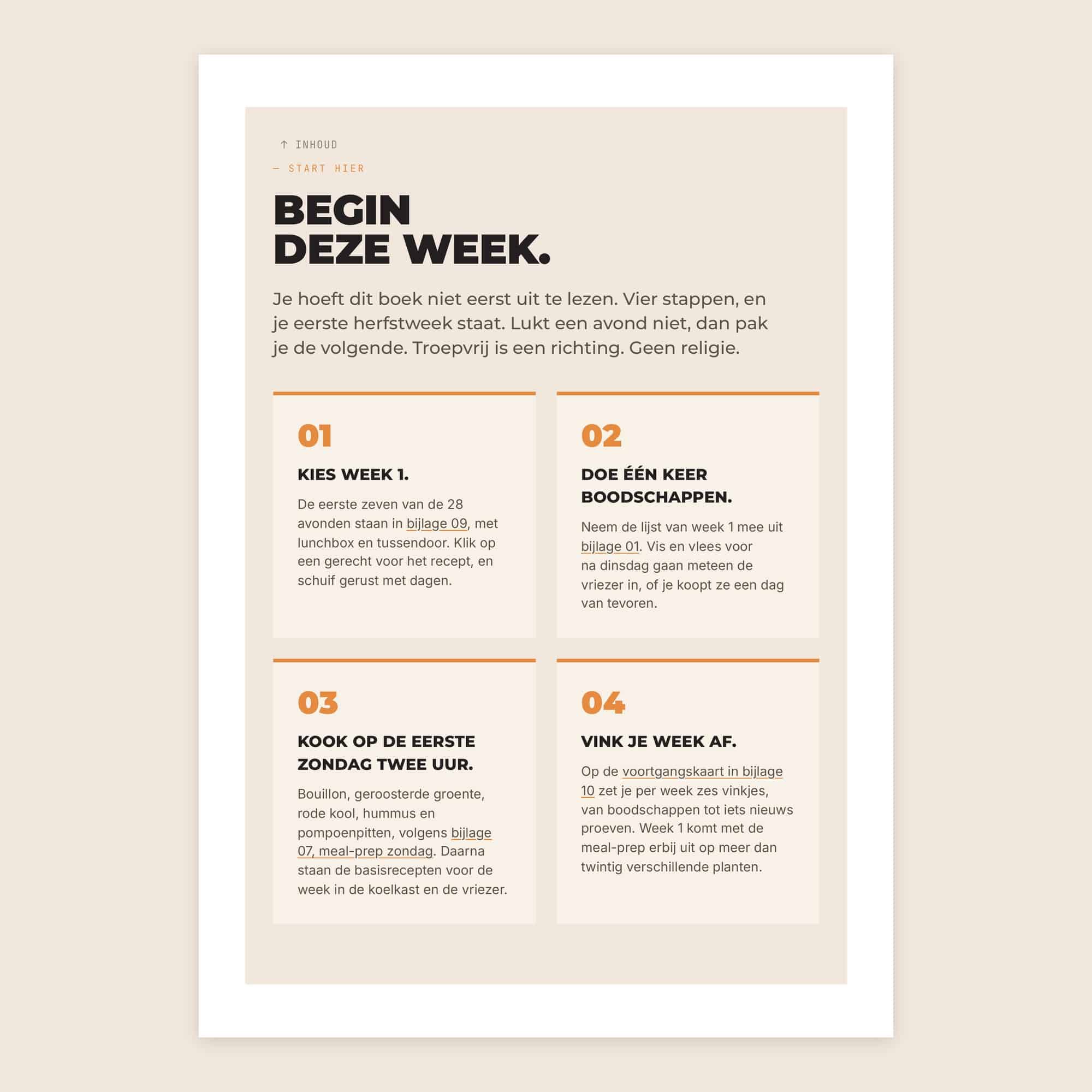Pagina uit het boek: Begin deze week, in vier stappen